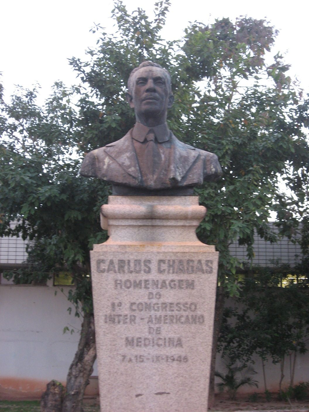 Carlos Chagas' bust (5).JPG